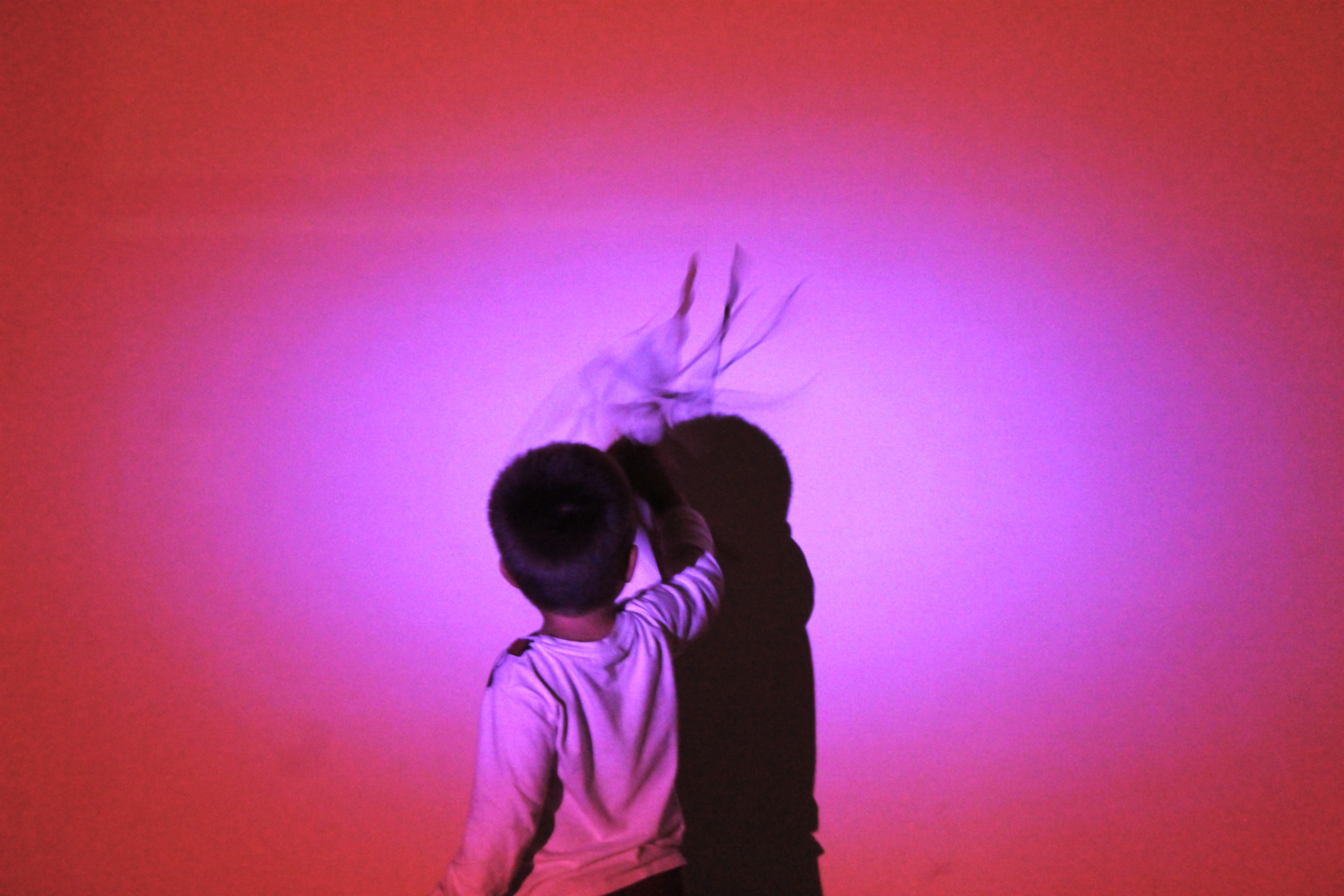 Taller en Santovenia